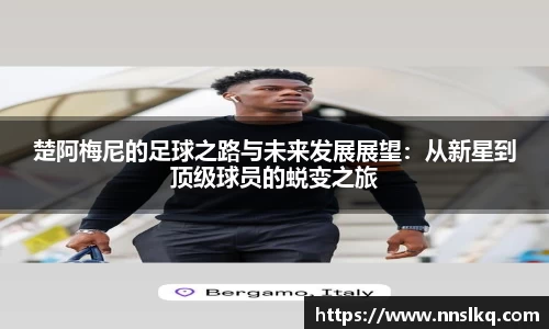 yy易游官网